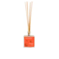 Happy Micados - Apricot Mikado Air Freshener by Eco Happy