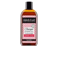 Epigenetico - Epigenetico Champú Cabello Graso by Nuggela & Sulé
