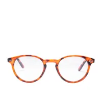 Blue Light - Hayes #Tortoise by Northweek