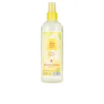 Agua De Colonia - Eau De Cologne Original Fresh Water Vaporizer by Alvarez Gomez
