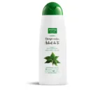 Phyto Nature - Pyhto Nature Tea Tree School Shampoo by Luxana