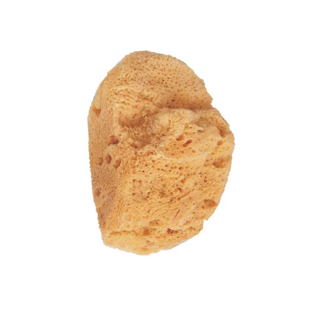 Esponja Baño - Esponja De Baño Natural Marina by Beter