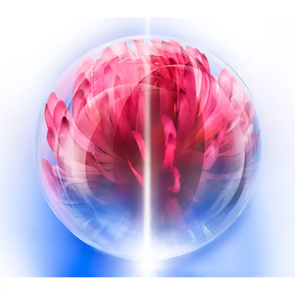 Bio-Performance - Bio-Performance Skin Hiforce Cream by Shiseido