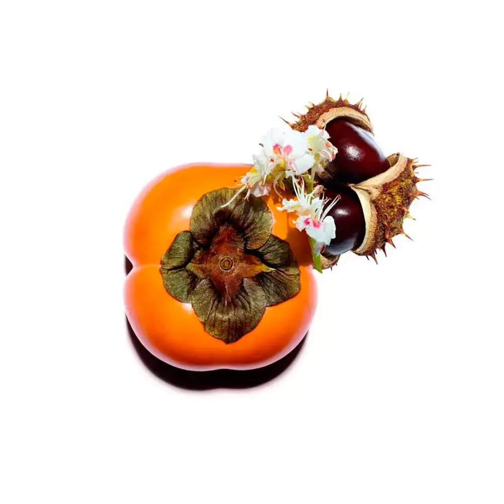 Nutri Lumière - Nutri Lumière Revive Crema by Clarins