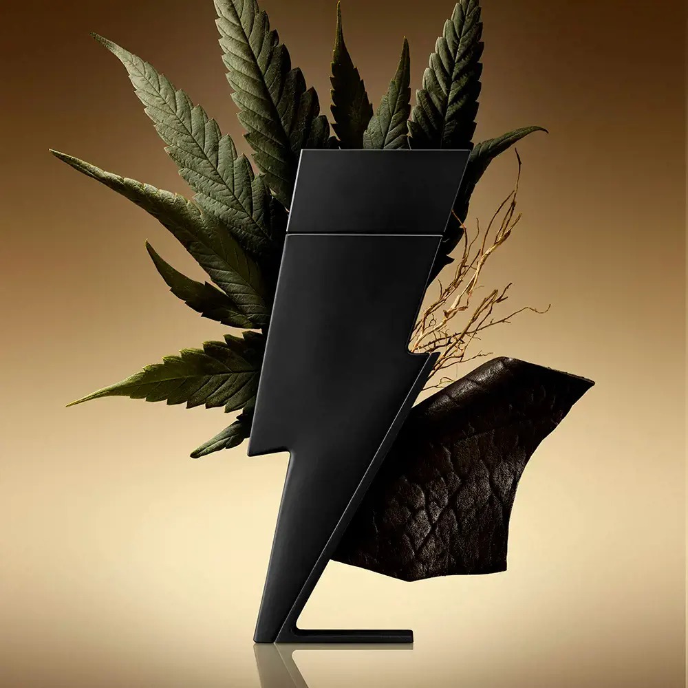 Bad Boy - Bad Boy Le Parfum Edp Vapo by Carolina Herrera