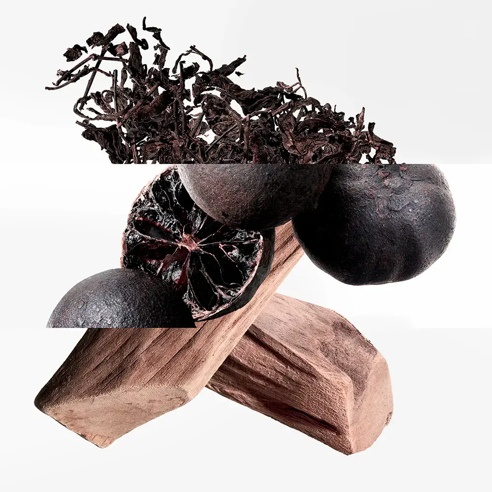 Collection Colognes D'Hermès - Eau De Citron Noir Eau De Cologne Spray by Hermès