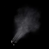 Curl Expression - Curl Expression Drying Accelerator Spray by L'Oréal Professionnel Paris