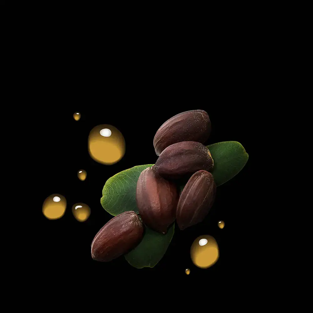 Dark Oil - Dark Oil Silky Hair Mist by Sebastian Professionals