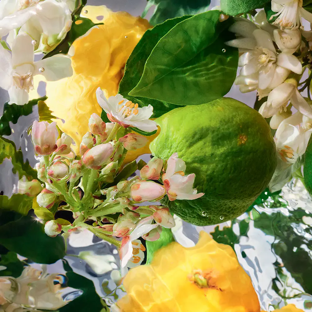 Aqua Allegoria - Aqua Allegoria Bergamote Calabria Eau De Toilette Spray by Guerlain