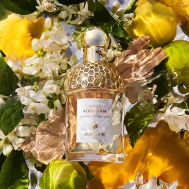 Aqua Allegoria - Aqua Allegoria Bergamote Calabria Eau De Toilette Spray by Guerlain