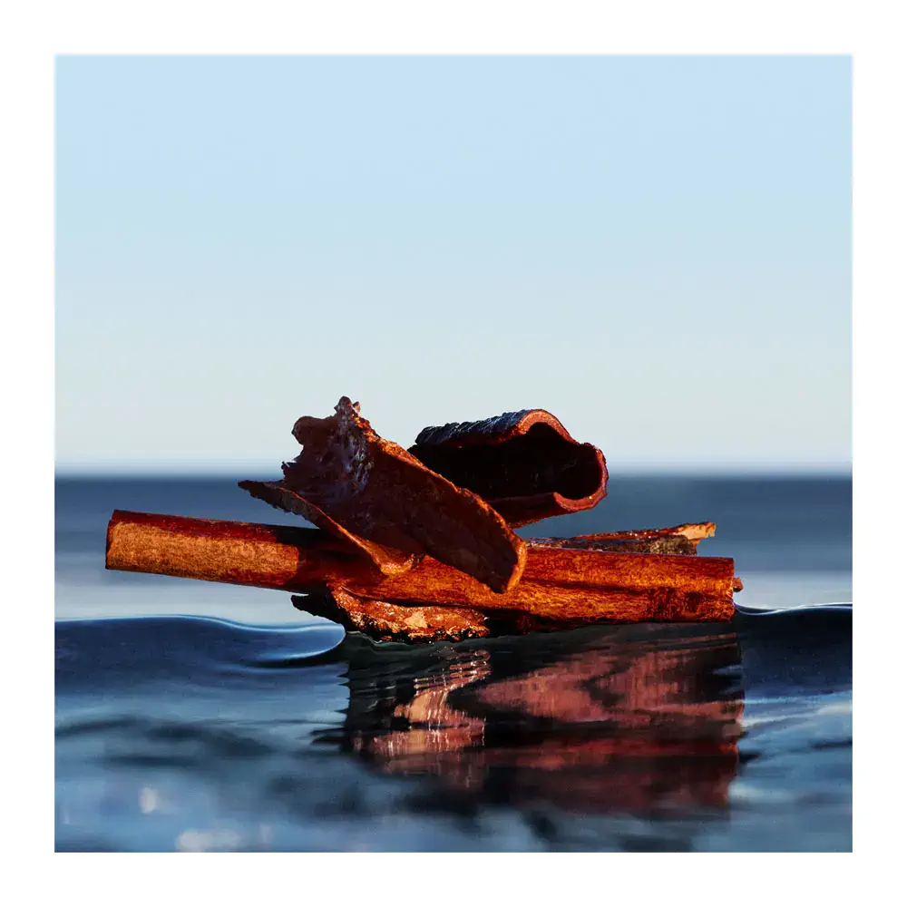 Boss Bottled - Boss Bottled Infinite Eau De Parfum Spray by Hugo Boss-Boss