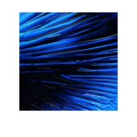 Biotherm Homme - Homme Force Supreme Gel by Biotherm