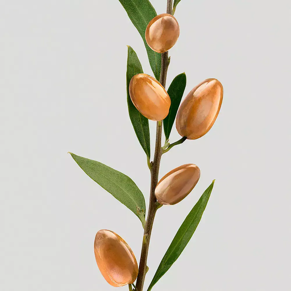 Silk Bloom - Silk Bloom Masque by Shu Uemura