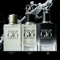Acqua Di Giò Pour Homme - Acqua Di Giò Parfum Edp Vapo by Giorgio Armani