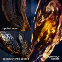 Invictus - Invictus Victory Elixir Parfum Intense Edp Vapo by Rabanne