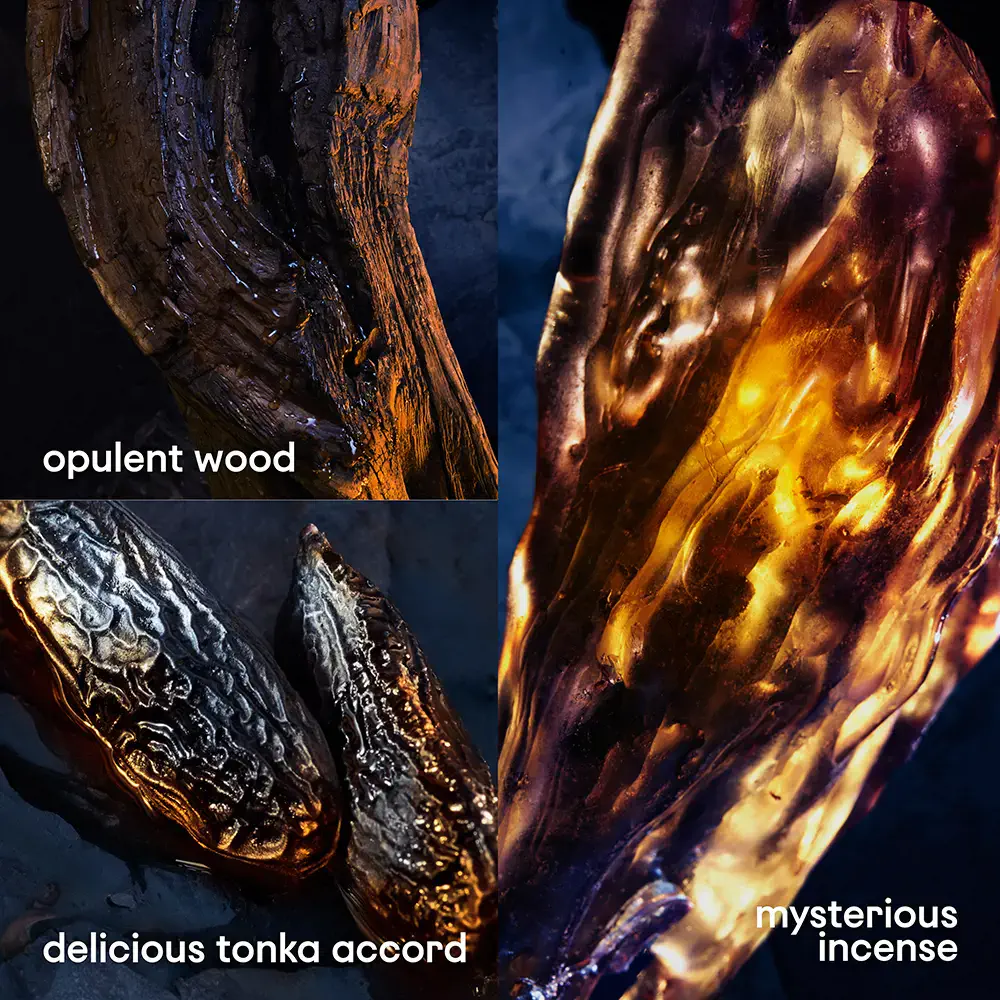 Invictus - Invictus Victory Elixir Parfum Intense Edp Vapo by Rabanne