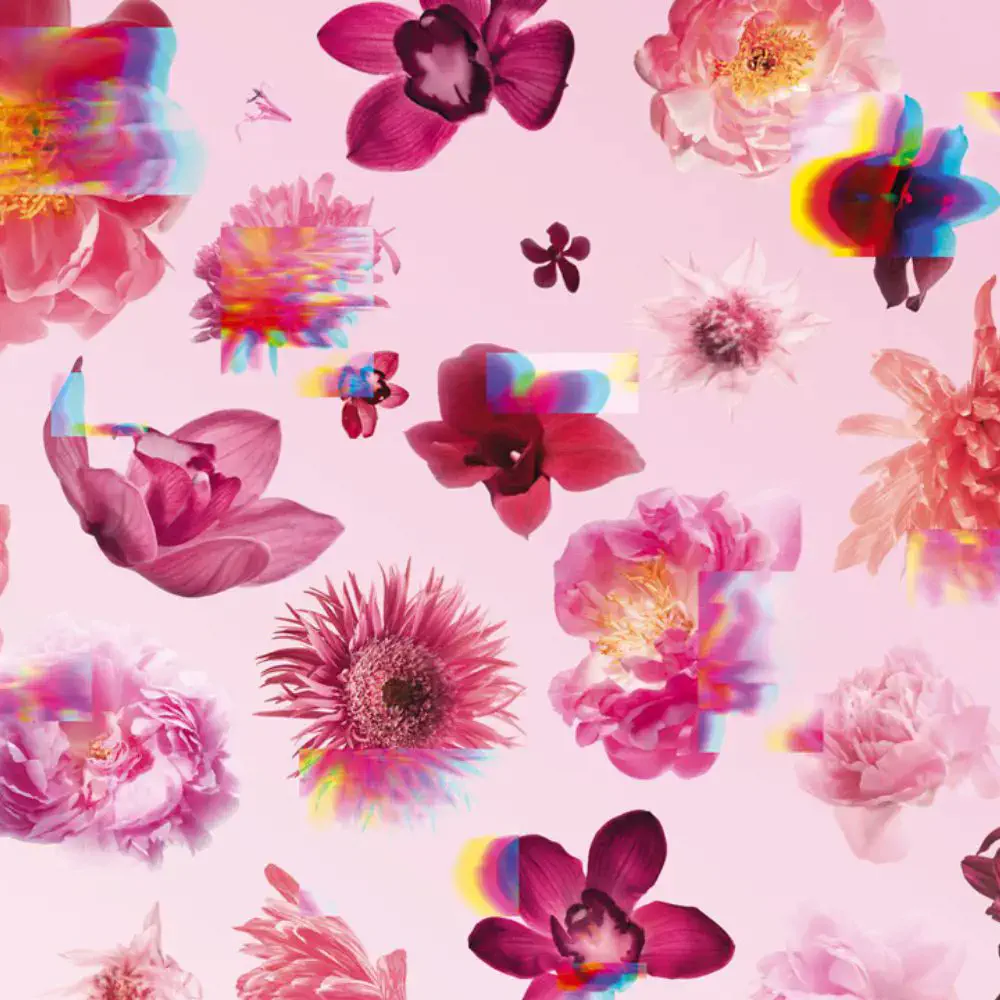 Flowerbomb - Flowerbomb Edp Spray by Viktor & Rolf