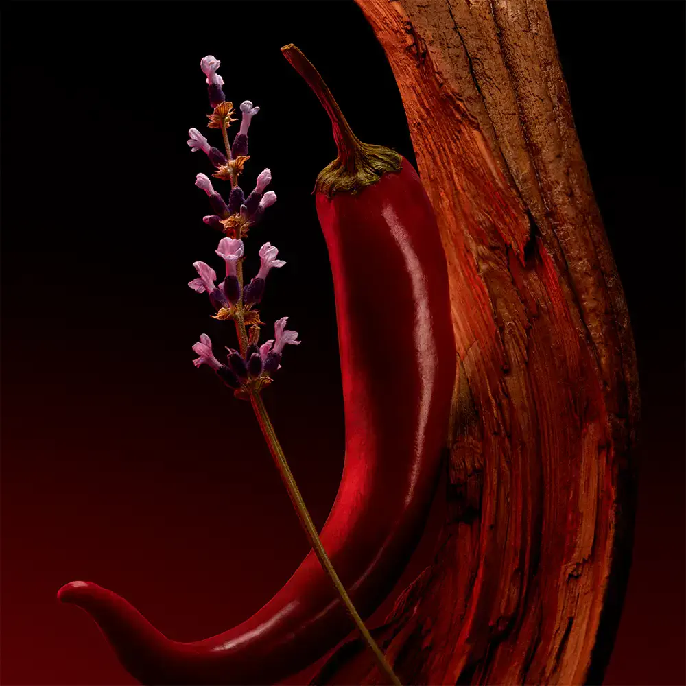 The Scent - The Scent For Him Elixir Edp Vapo by Hugo Boss-Boss