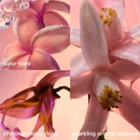 Olympéa - Olympéa Solar Eau De Parfum Spray by Rabanne