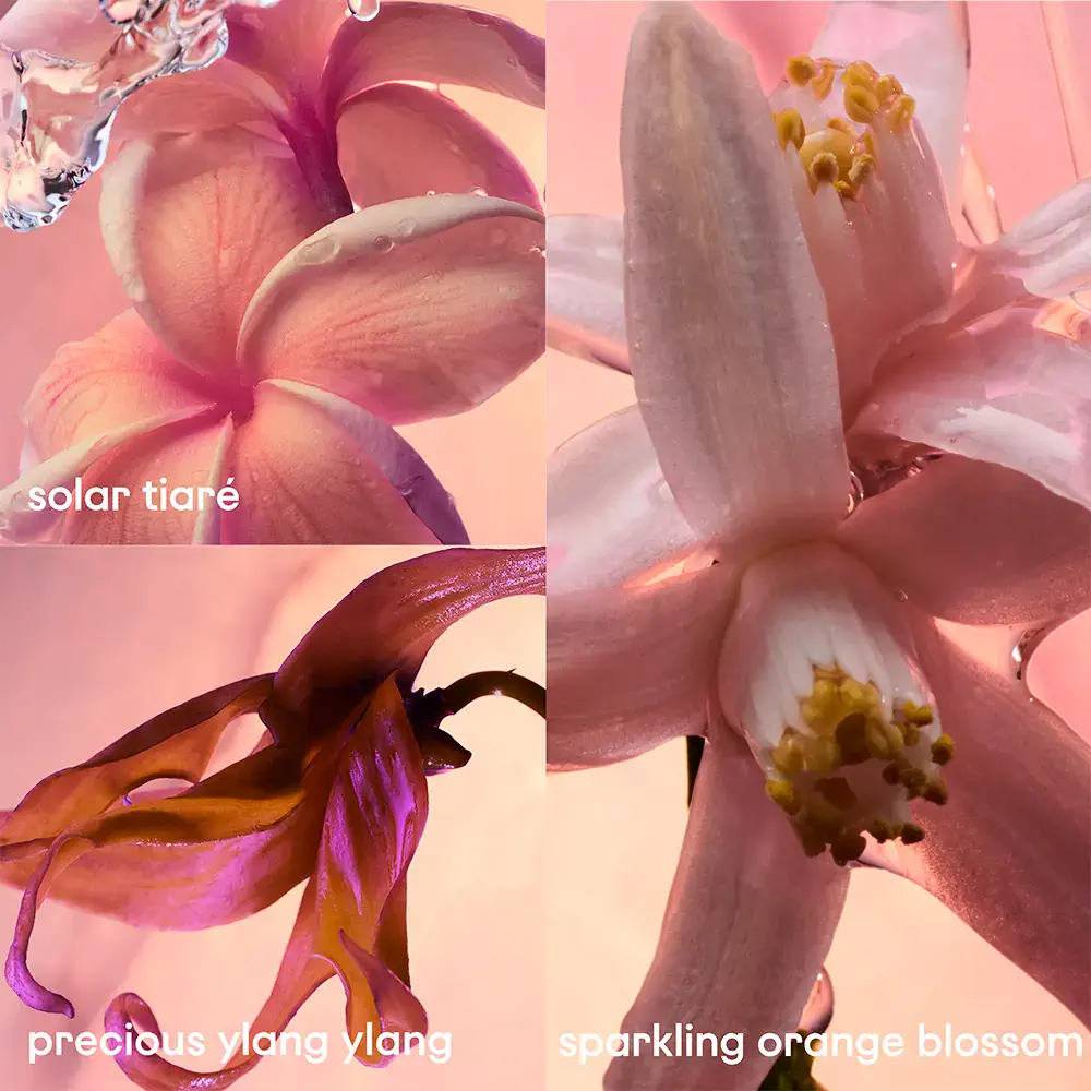 Olympéa - Olympéa Solar Eau De Parfum Spray by Rabanne