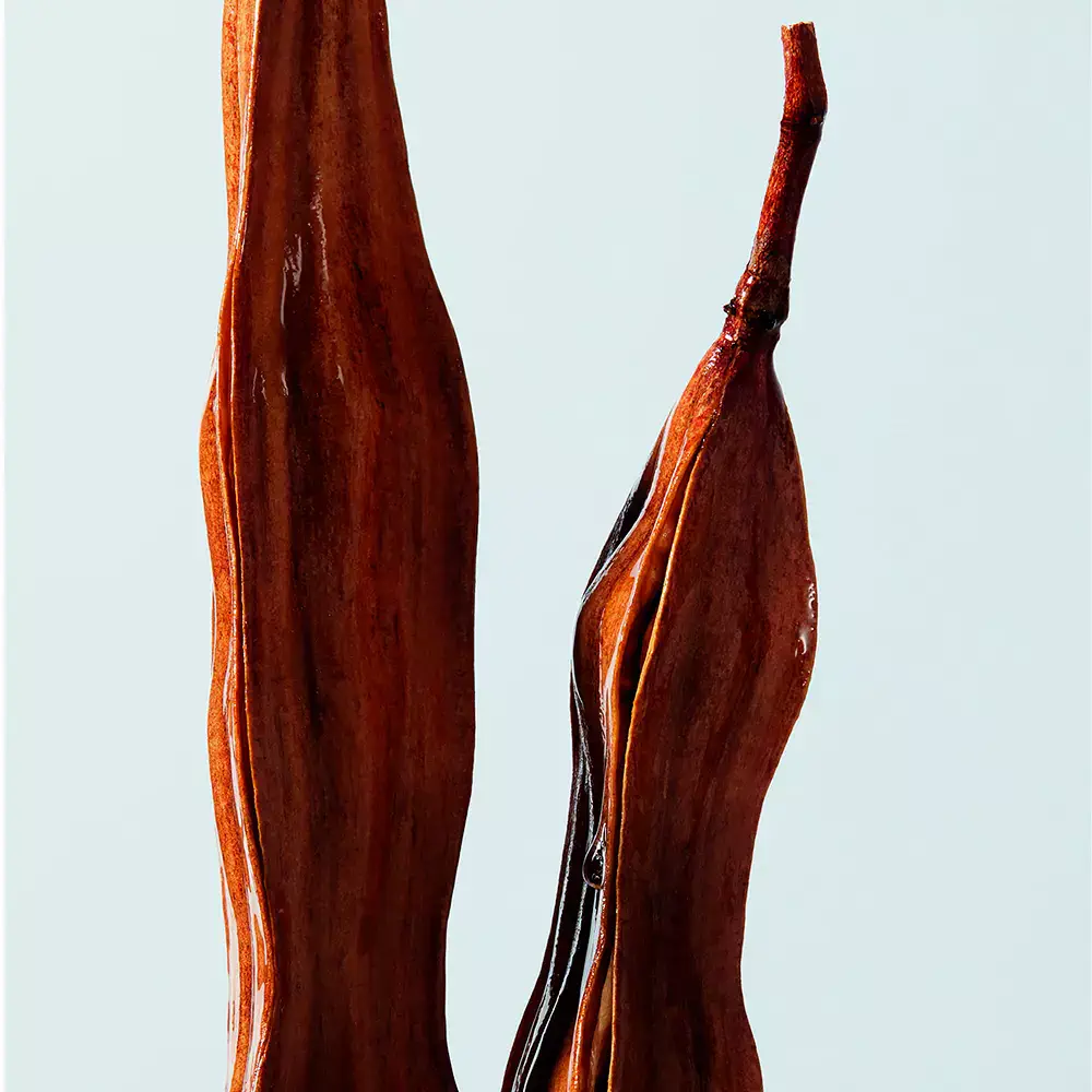 Urban Moisture - Urban Moisture Hydro-Nourishing Treatment Dry Hair by Shu Uemura