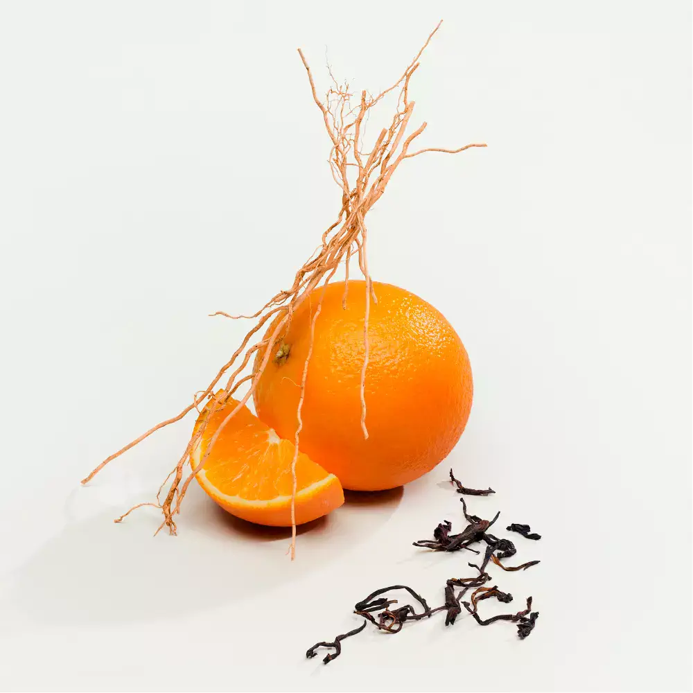 Ck - Ck Everyone Eau De Parfum Spray by Calvin Klein