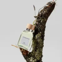 Agua Fresca - Agua Fresca Eau De Toilette Spray by Adolfo Dominguez