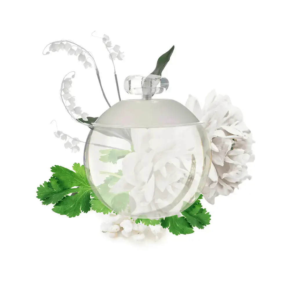 Noa Eau De Toilette Spray by Cacharel Noa - Noa Eau De Toilette Spray by Cacharel
