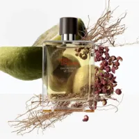Terre D'Hermès - Terre D'Hermès Eau Intense Vétiver Eau De Parfum Spray by Hermès