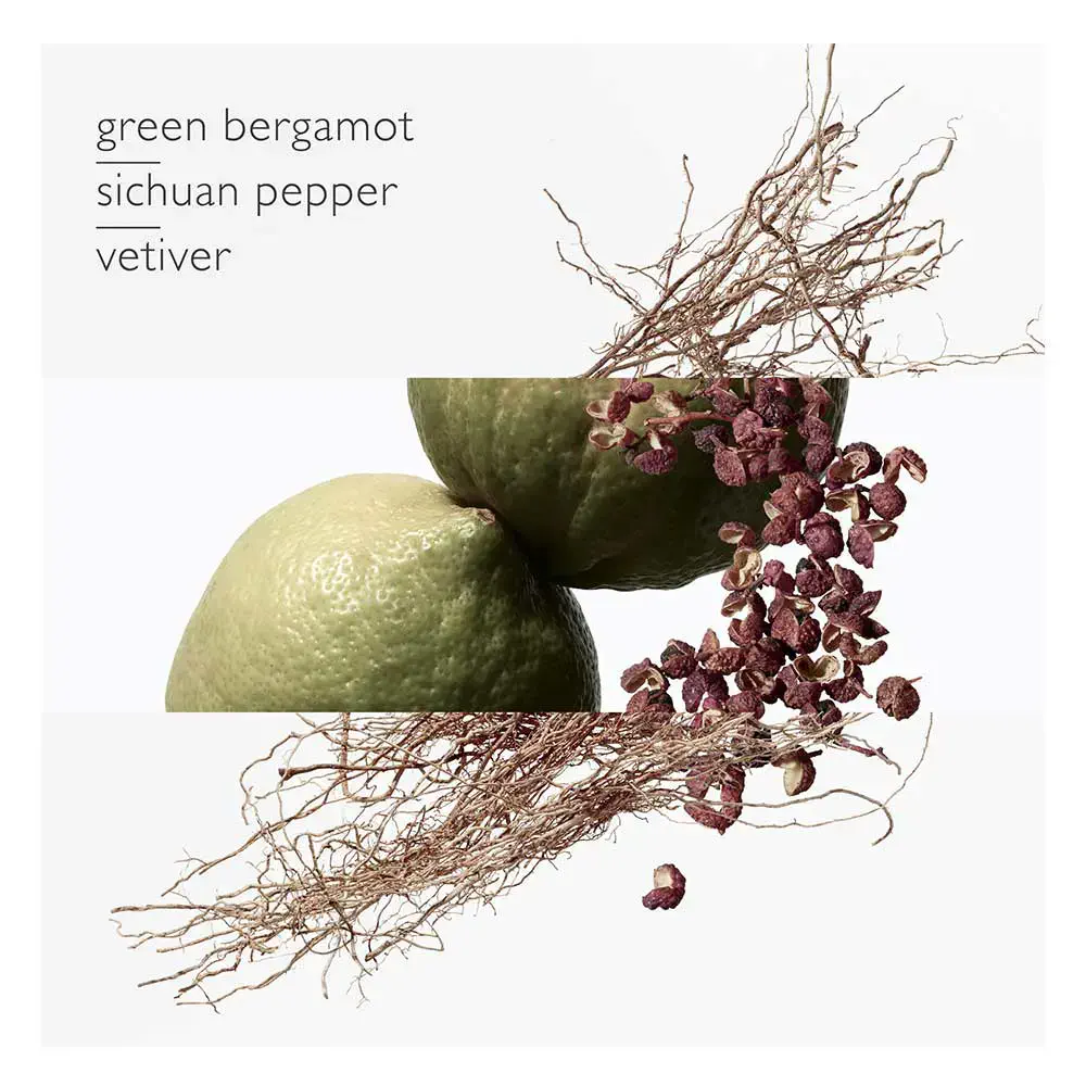 Terre D'Hermès - Terre D'Hermès Eau Intense Vétiver Eau De Parfum Spray by Hermès