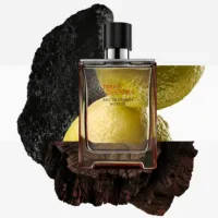 Terre D'Hermès - Terre D'Hermès Parfum Intense Edp Vapo by Hermès