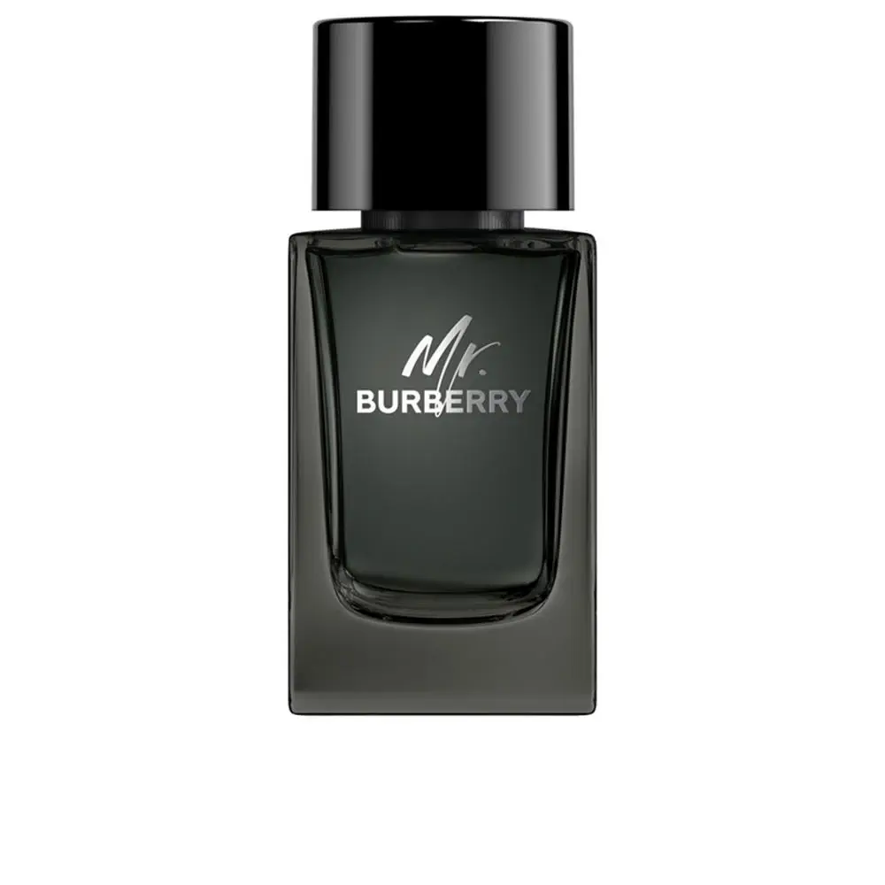 Mr Burberry - Mr. Burberry Eau De Parfum Vapor by Burberry