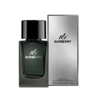 Mr Burberry Mr Burberry - Mr. Burberry Eau De Parfum Vapor by Burberry