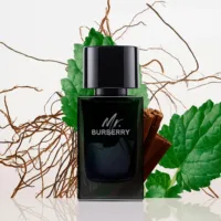 Mr Burberry Mr Burberry - Mr. Burberry Eau De Parfum Vapor by Burberry