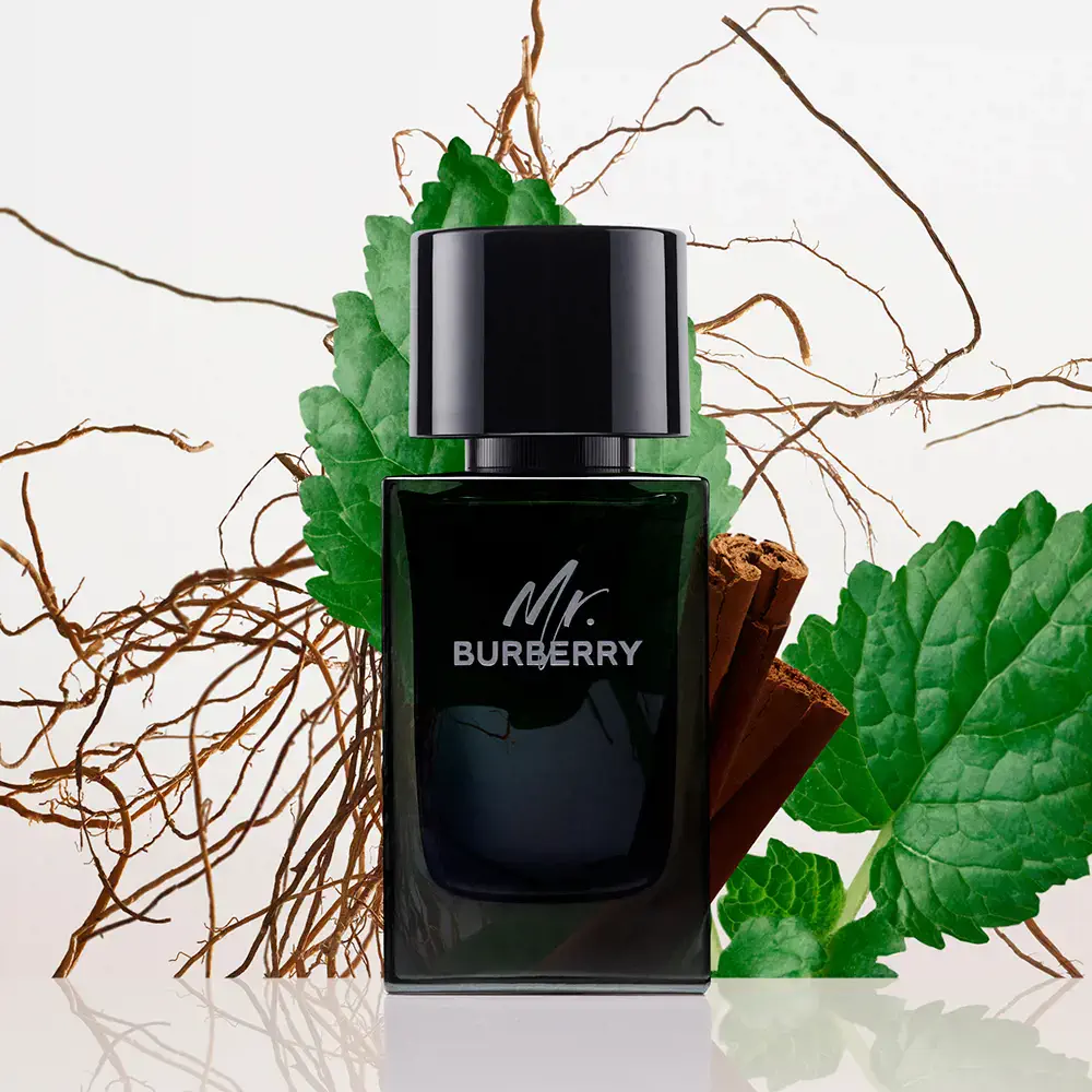 Mr Burberry - Mr. Burberry Eau De Parfum Vapor by Burberry