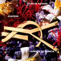 Libre - Libre Le Parfum Eau De Parfum Spray by Yves Saint Laurent