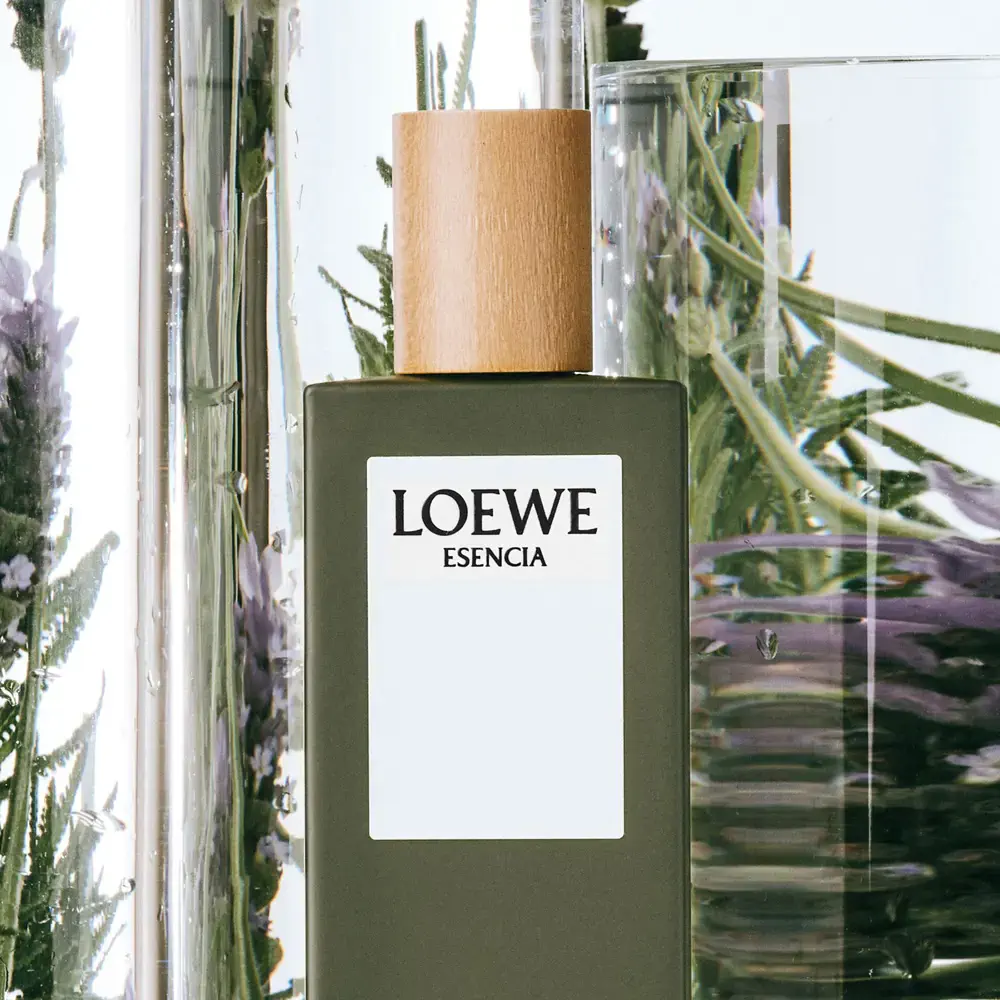 Esencia - Esencia Eau De Toilette Spray by Loewe