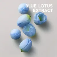 Styling - Styling Multi-Purpose Hairspray by Kerasilk