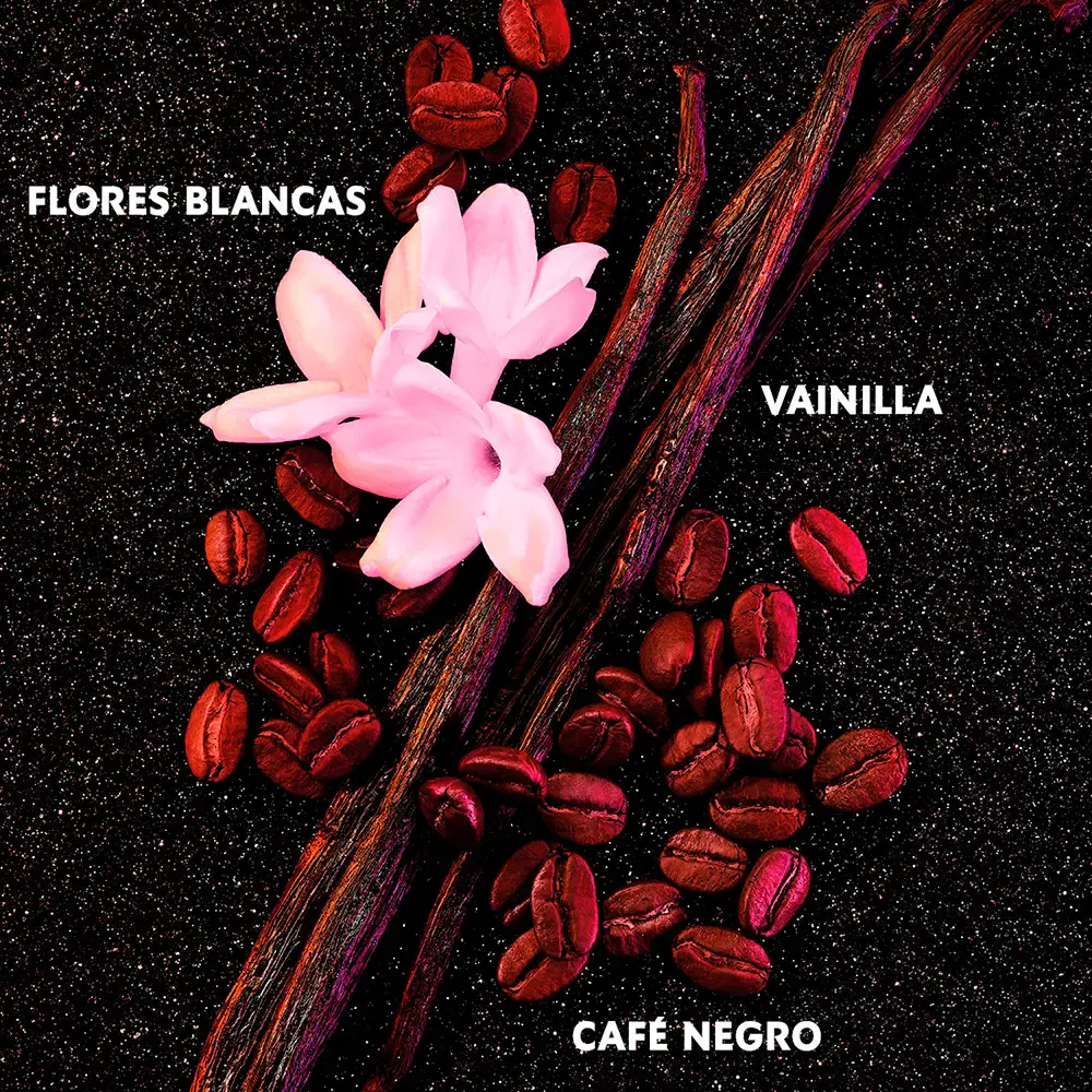 Black Opium - Black Opium Eau De Parfum Spray by Yves Saint Laurent