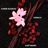 Black Opium - Black Opium Eau De Parfum Spray by Yves Saint Laurent