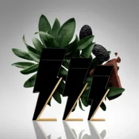 Bad Boy - Bad Boy Eau De Toilette Spray by Carolina Herrera