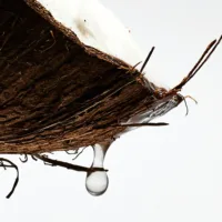 Paula'S Ibiza - Paula'S Ibiza Eau De Toilette Spray by Loewe