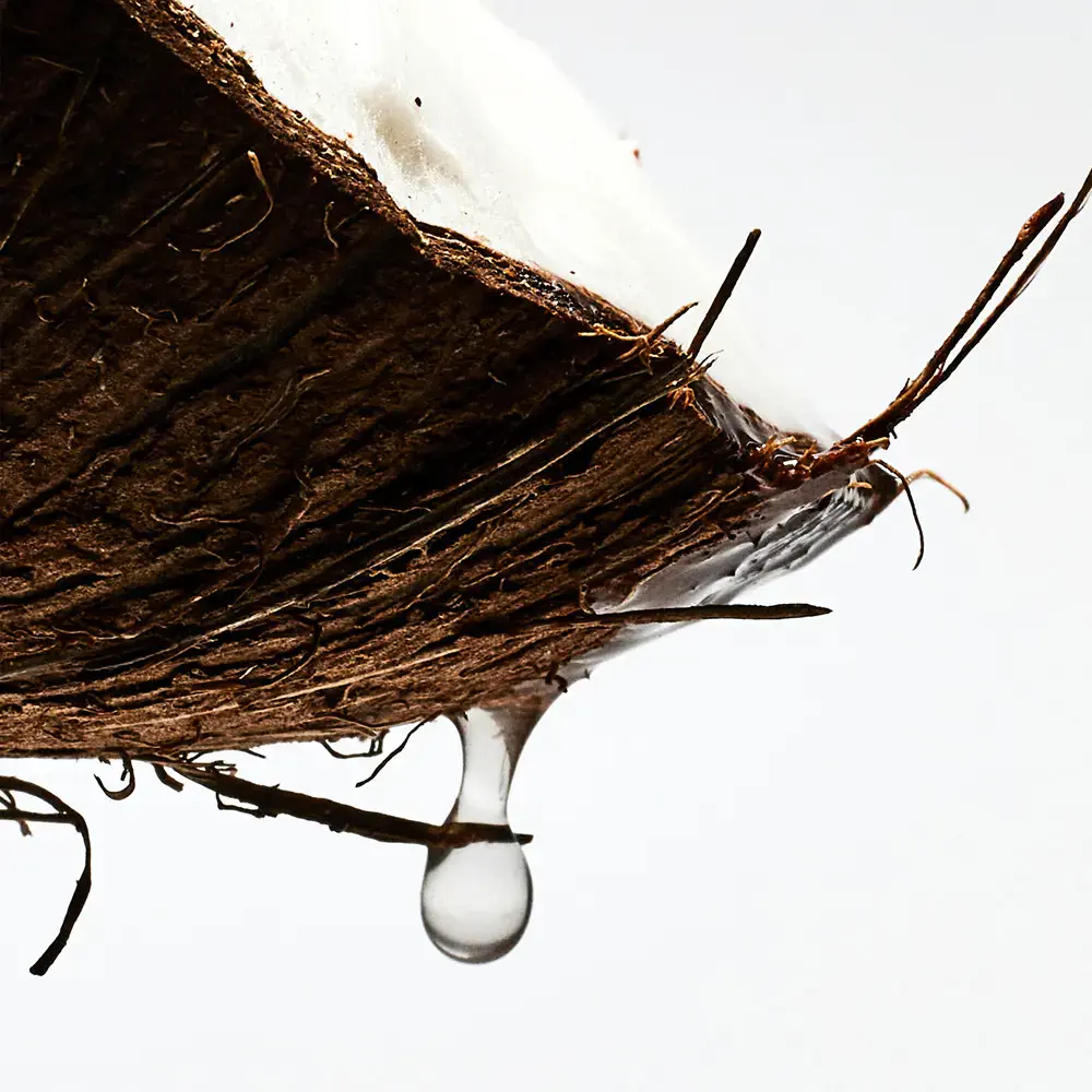 Paula'S Ibiza - Paula'S Ibiza Eau De Toilette Spray by Loewe