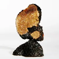 Earth - Earth Eau De Parfum Spray by Loewe