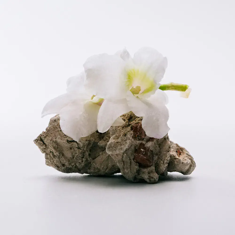 A Mi Aire - A Mi Aire Eau De Toilette Spray by Loewe