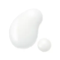 Absolute Silk - Absolute Silk Cleansing Milk by Sensai