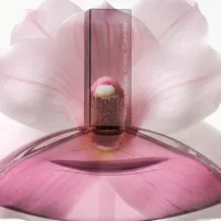 Euphoria - Euphoria Edt Vapor by Calvin Klein