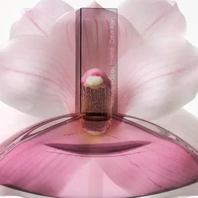 Euphoria - Euphoria Edt Vapor by Calvin Klein