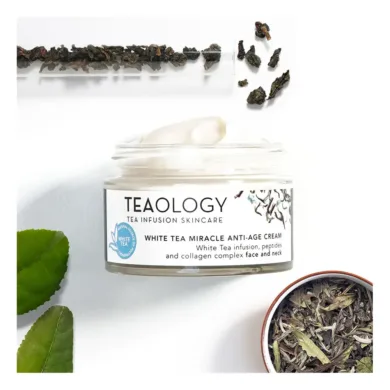 Teaology White Tea - White Tea Miracle Anti-Age Cream by Teaology