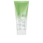 Matcha - Matcha Tea Latte Body Milk by Teaology